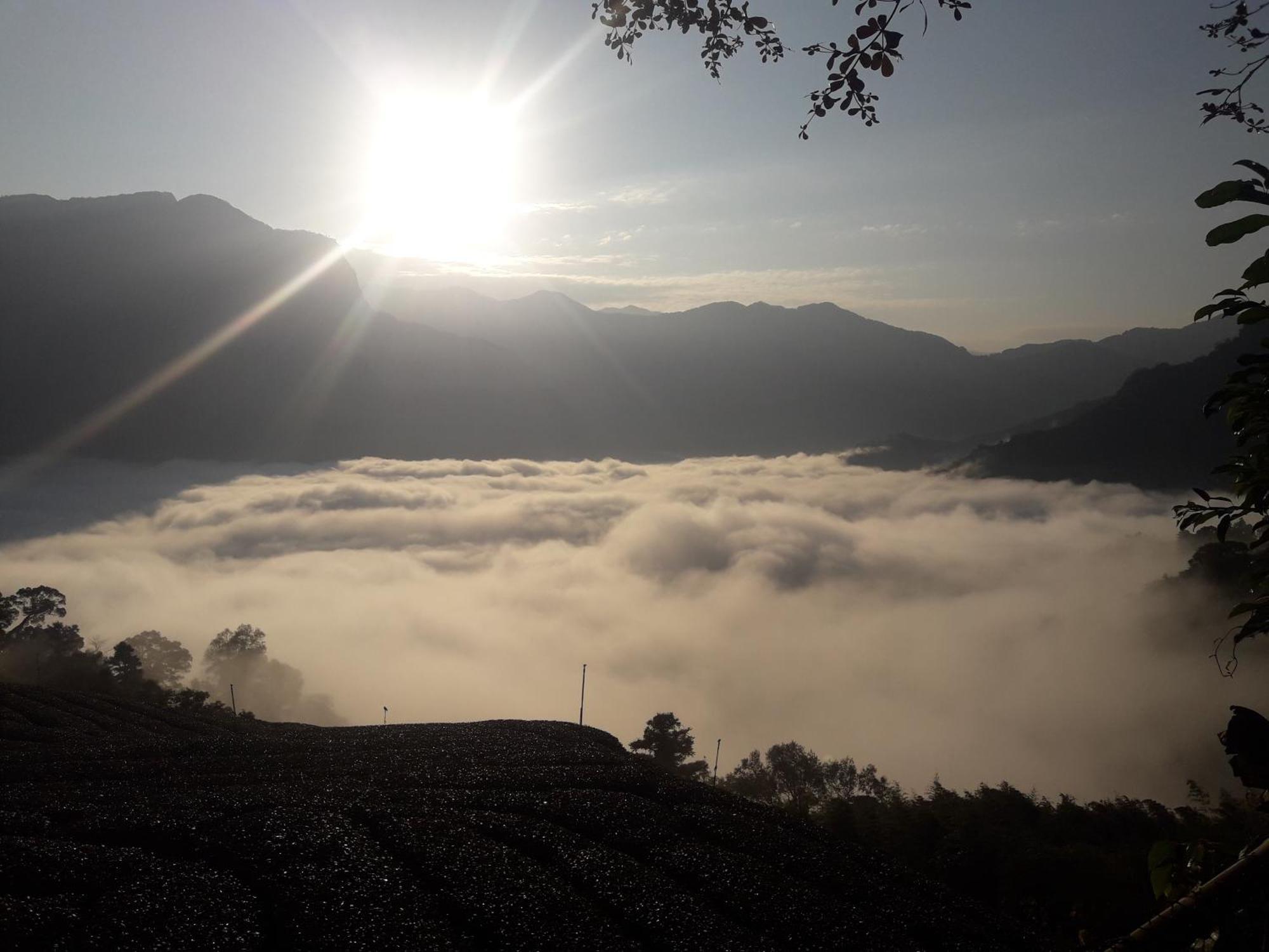 Alishan Shanyunhua B&B Homestay Meishan Exteriör bild